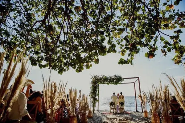 Zadys H Sacerdotisa | Ceremonias Simbólicas y espirituales 