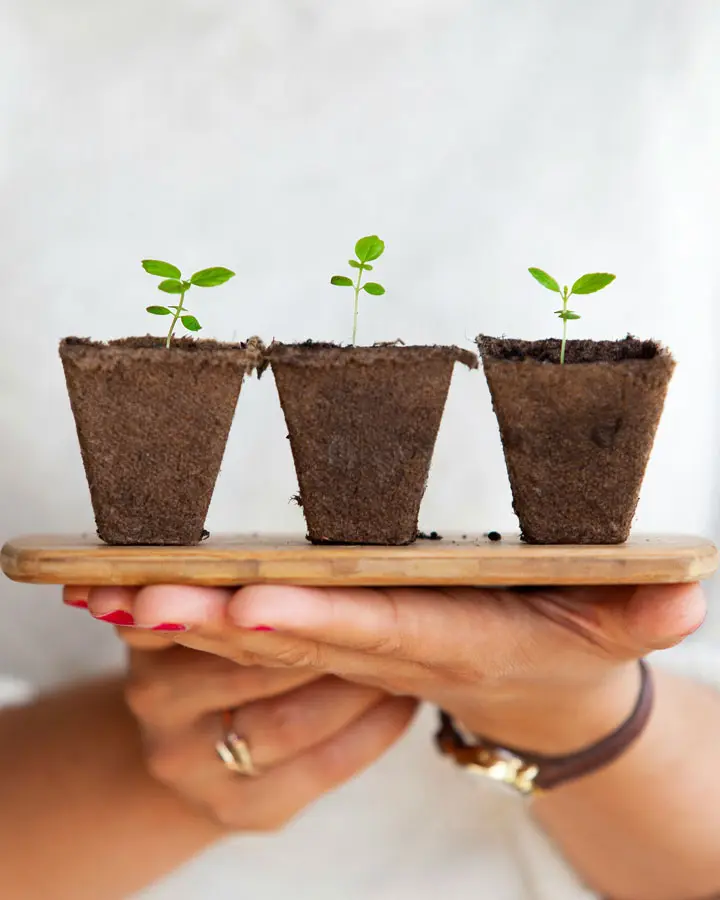 Ceremonias simbólicas | Orgullosamente del lado del amor 💞